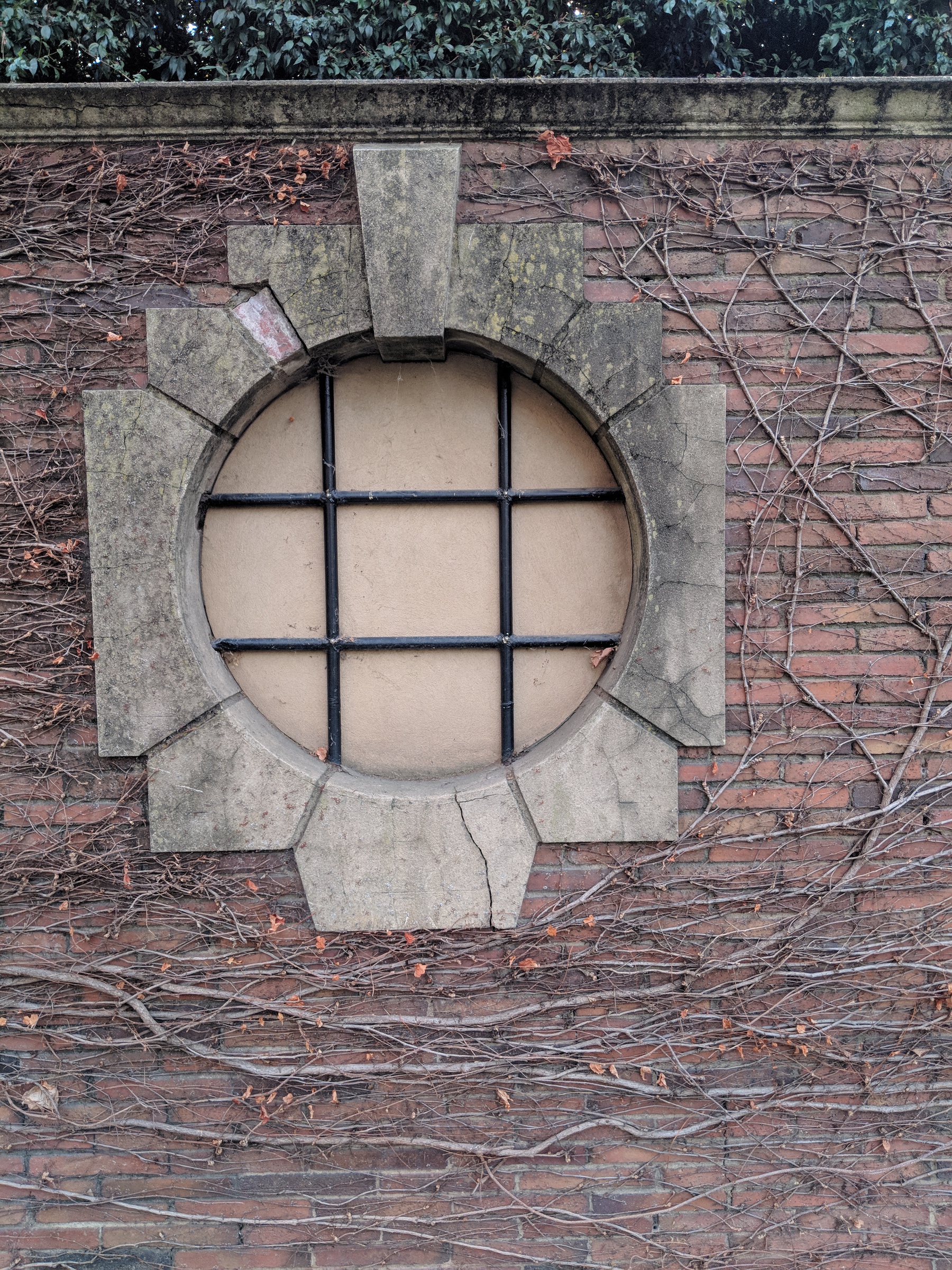 A window in a red brick wall. There is a crack here, but it's small and subtle. Branches of ivy grow on the wall around, and they are currently leafless and bare. One branch of ivy has grown up around the bottom and up the side of the window to half-encircle it.